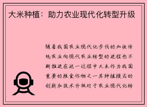 大米种植：助力农业现代化转型升级